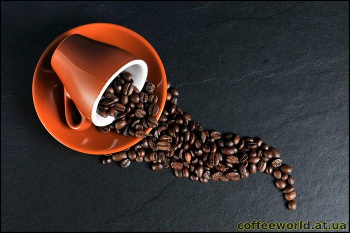Робуста - какие бывают сорта кофе часть 2
